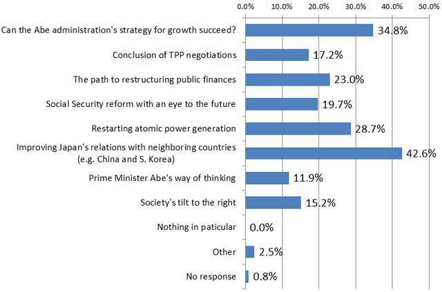 What areas of Japanese politics and society are you particularly concerned about in 2014?